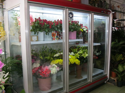 Kesme çiçekleri 5-7 derecede özel soğutucuda muhafaza etmekteyiz
